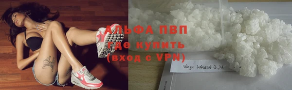 твердый Абаза